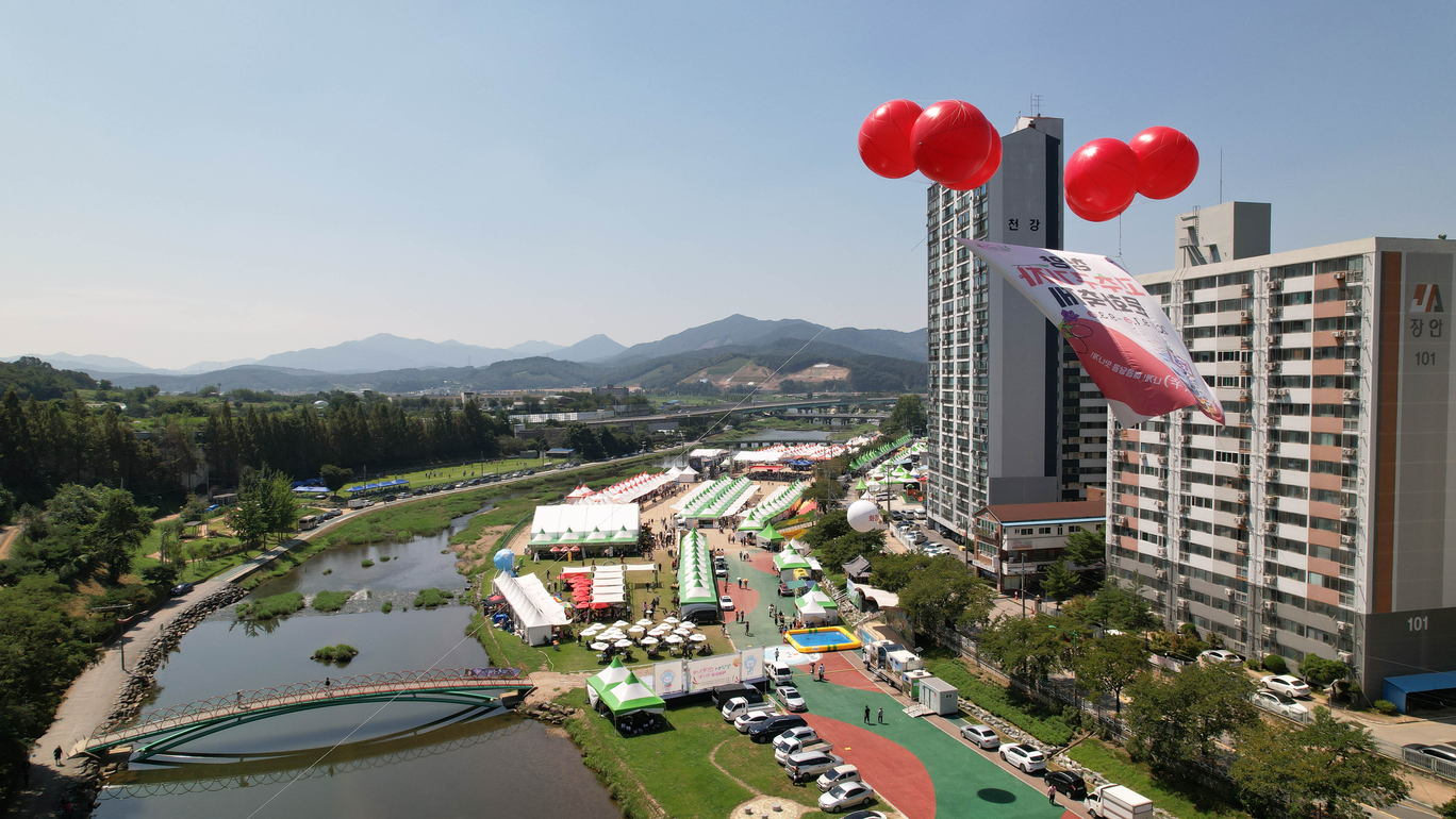 청양고추구기자 문화 축제
