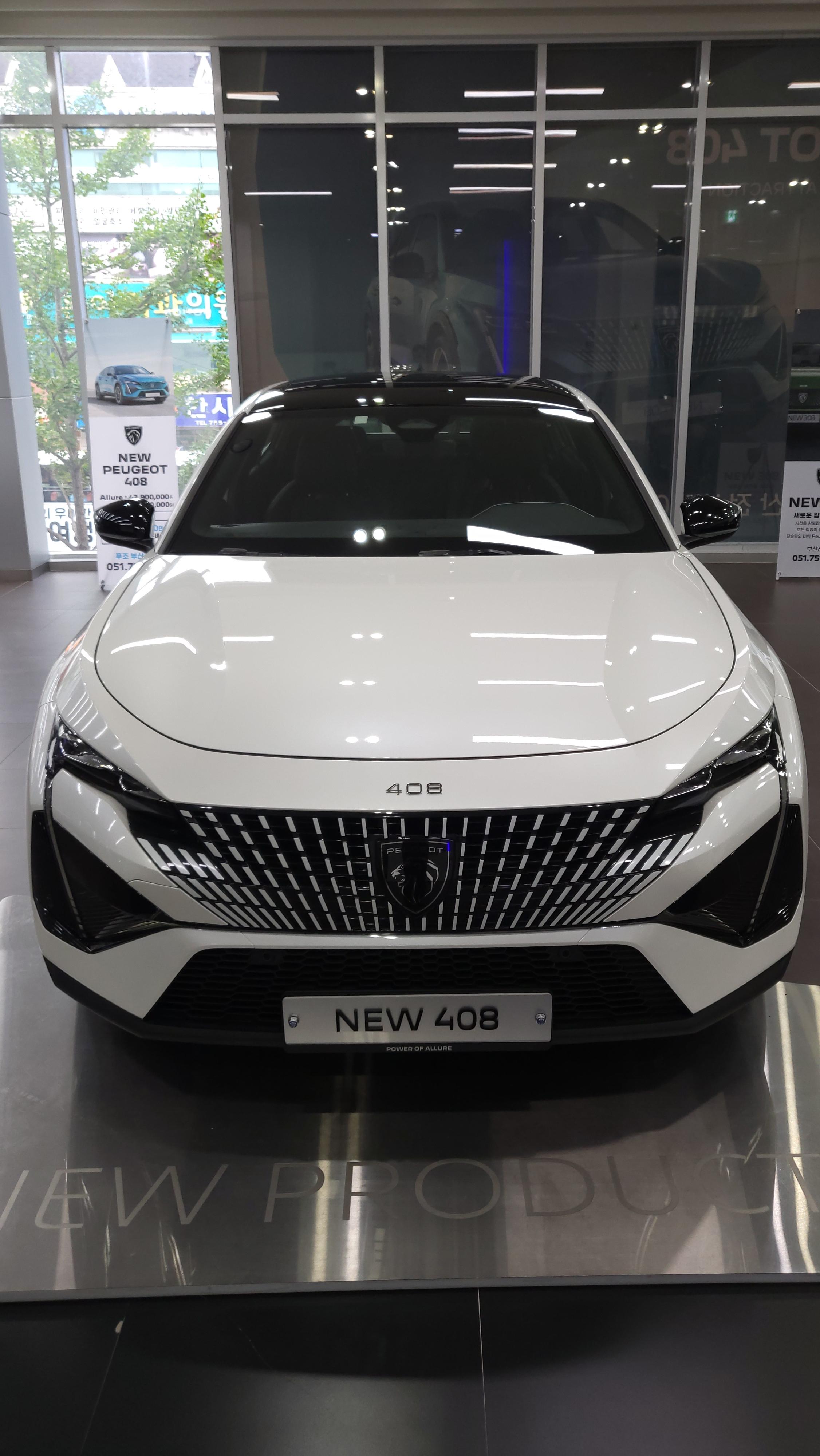 푸조 408 프론트 그릴