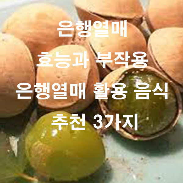 은행열매 효능과 부작용 은행열매 활용 음식 추천 3가지