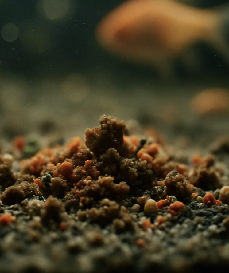 보이지 않는 함정&amp;#44; 자동화의 한계