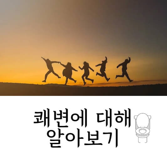 쾌변