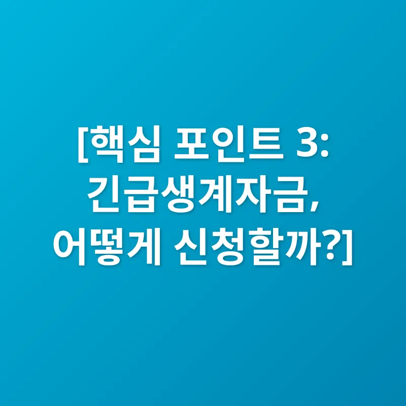 긴급생계자금_3