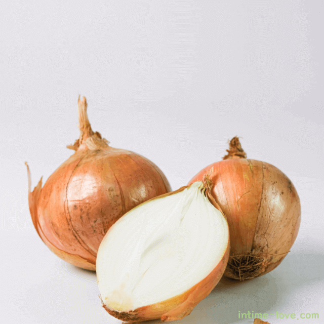 양파 효능