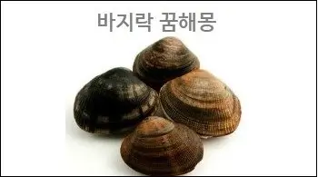 바지락 꿈해몽
