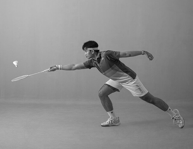 안세영 월드투어 일정