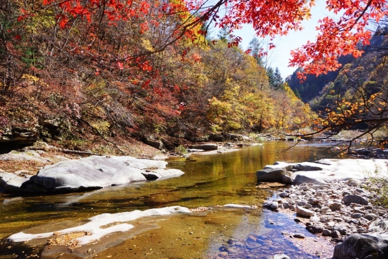 가을 단풍 명소
