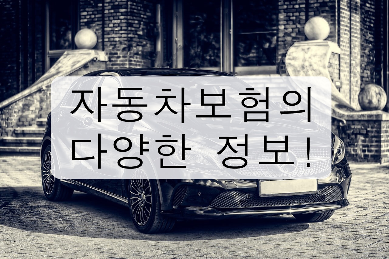 자동차보험의 다양한 정보를 알아보자!(비교&#44; 가격) 인터넷 자동차보험 자동차보험 비교 자동차보험 견적 자동차보험 추천 자동차보험 저렴한 곳 자동차보험 싼 곳 자동차 보험료 인상 자동차보험 종류 보험다모아 이용방법 보험다모아 사용방법