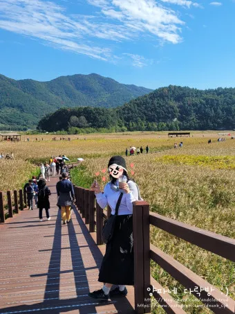 순천 가볼만한곳 베스트10 순천만 갈대밭 숨겨진 명소_18