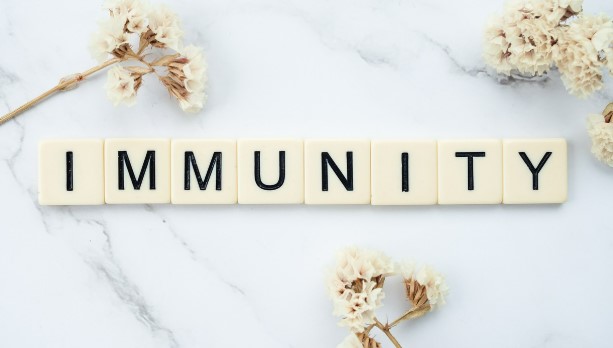 환절기 면역력 필수템 (비타민, 홍삼, 프로폴리스)