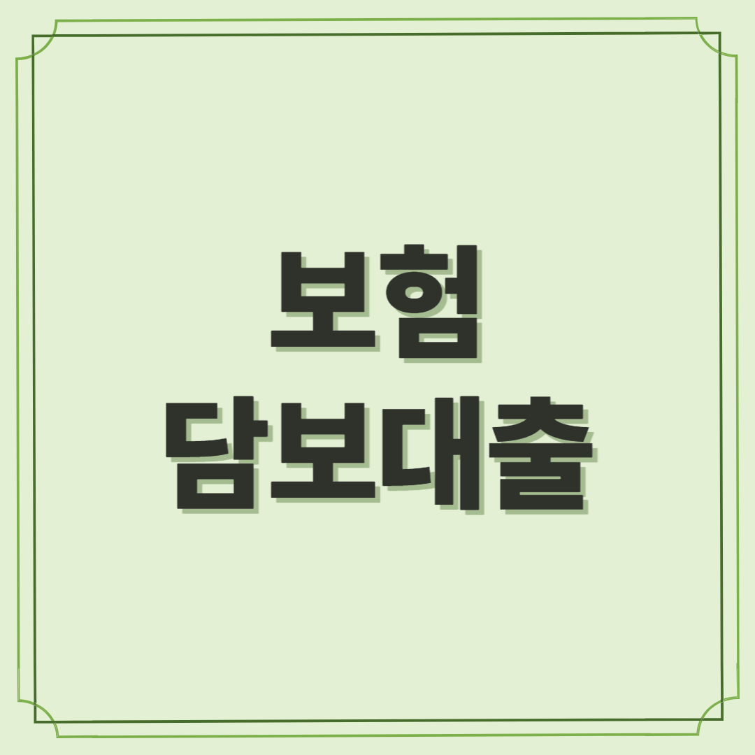 보험담보대출