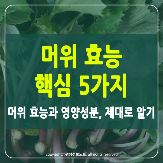 머위 효능 썸네일