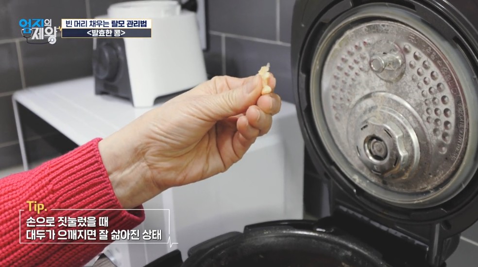 손으로 만져보는 삶은 콩