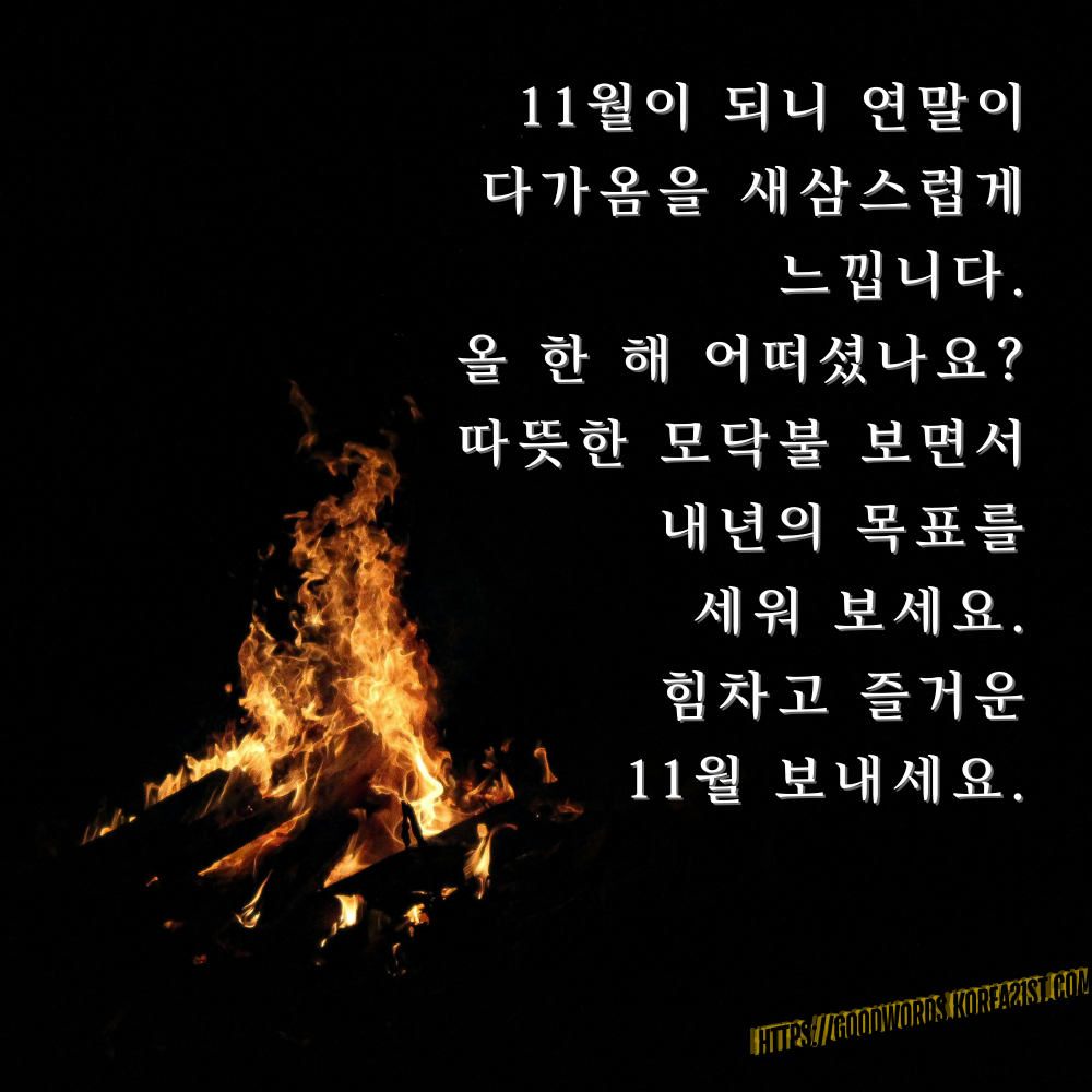 11월 인사말 문구 이미지 모음 안부 메세지