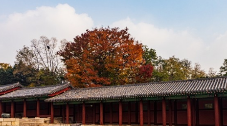 서울 고궁 이번 가을 꼭 가봐야할 BEST 4
