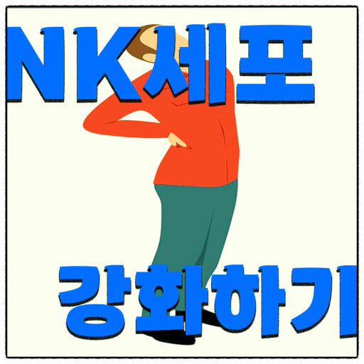 NK세포 강화