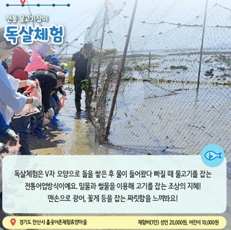 독살체험