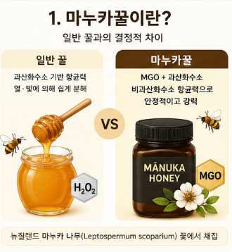 마누카꿀-효능-복용-용량-위염-영향-유통기한-추천-제품