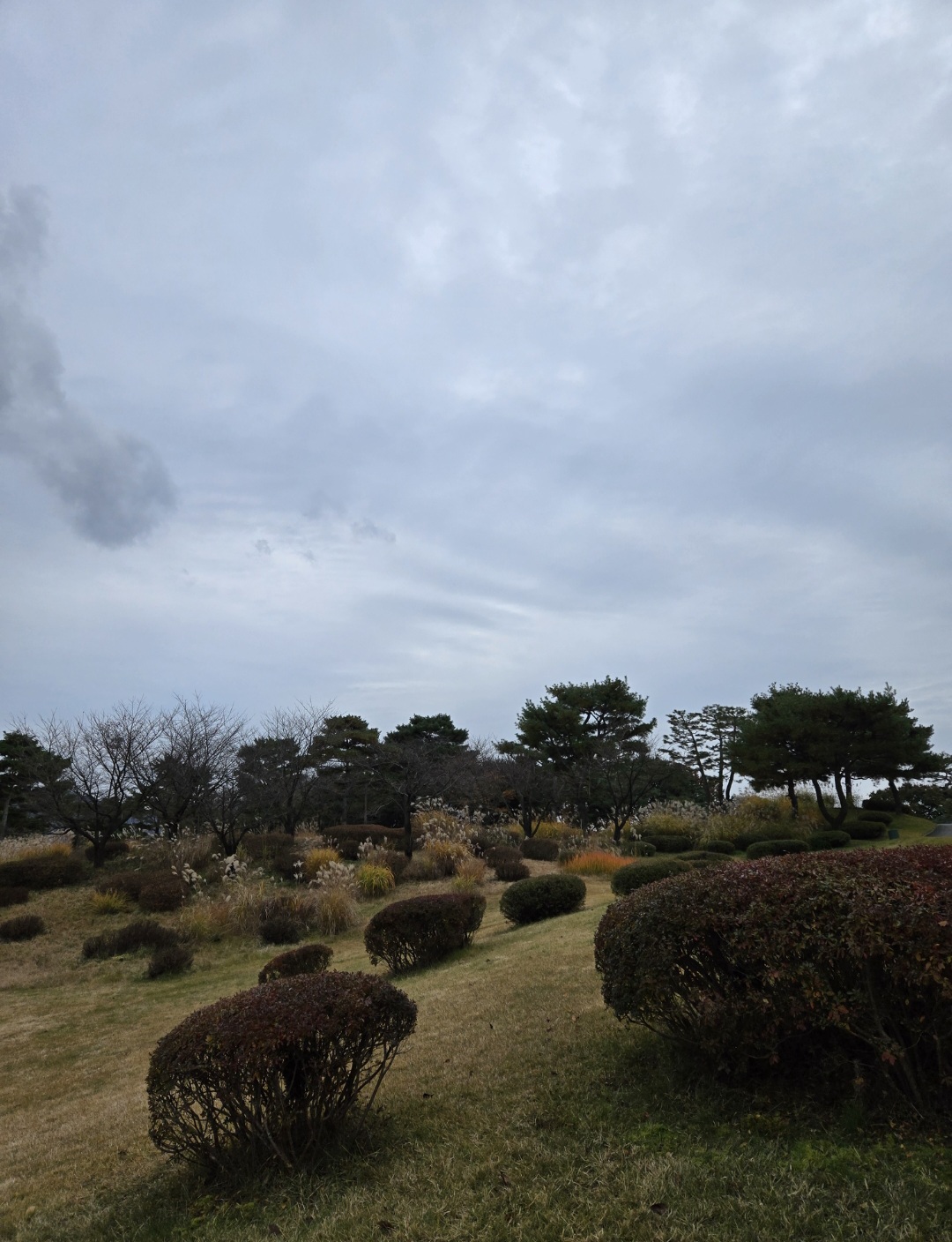 가을조경