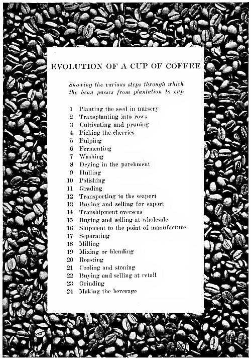 Evolution of A Cup of Coffee, 한잔의 커피가 될때까지