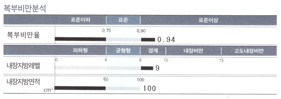 복부비만분석표