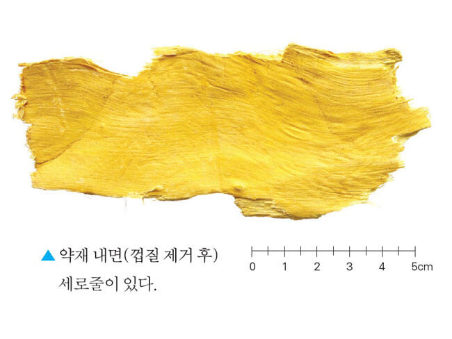 황백 사진