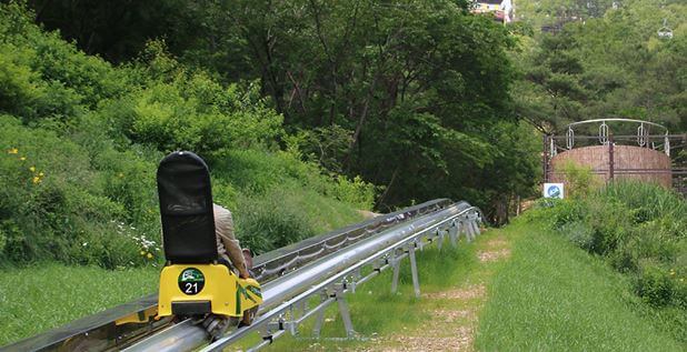 만천하 알파인코스터