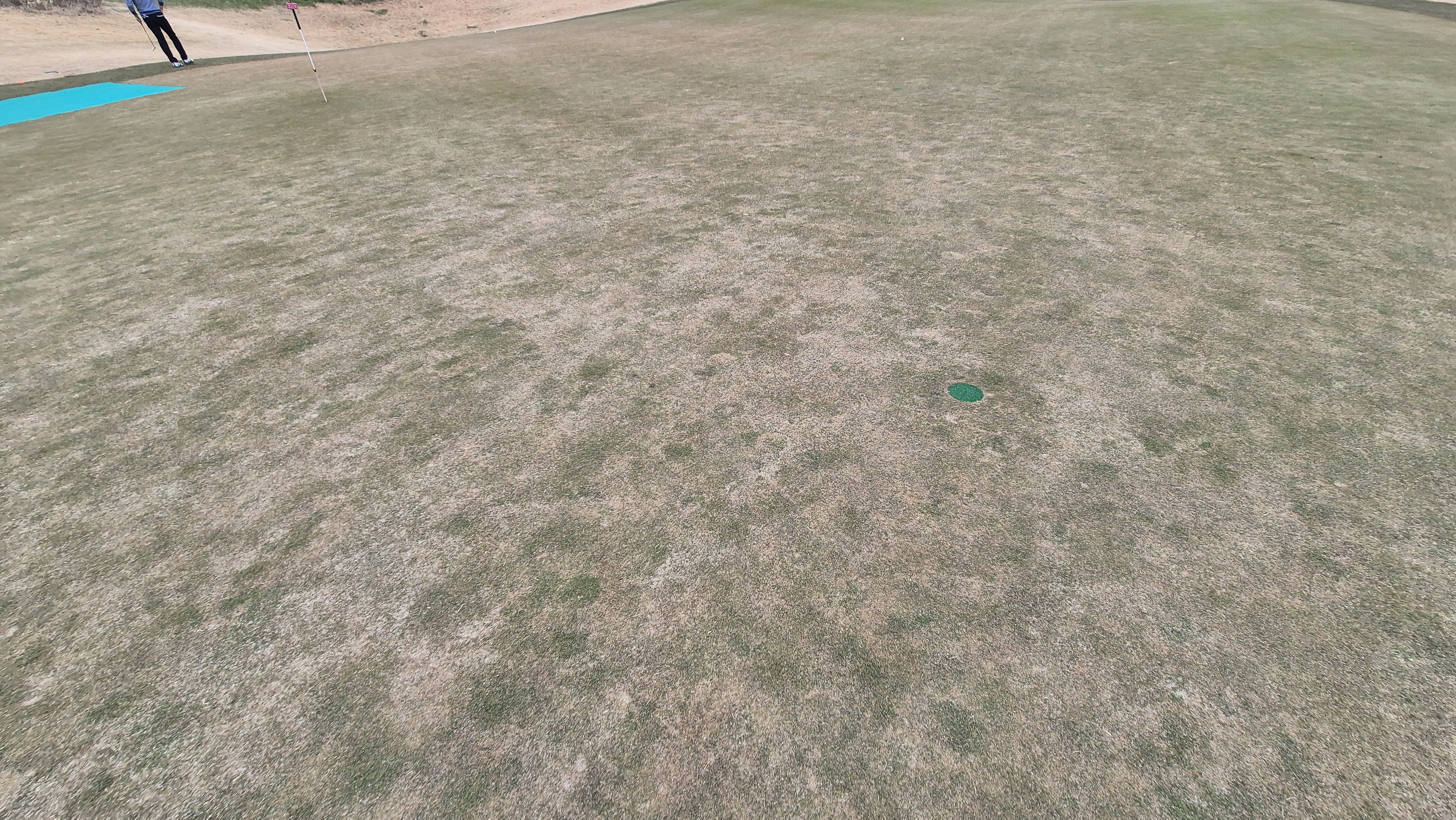 모나크cc 라운드 후기 그린관리상태