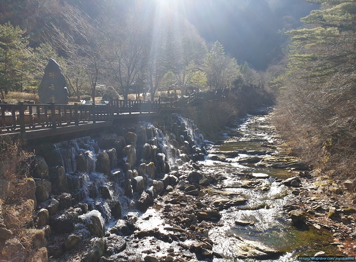 삼척대금굴