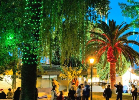 애리조나 라이트 페스티벌