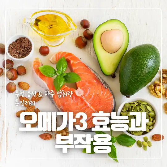 오메가3 효능과 부작용