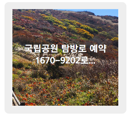 국립공원 예약통합시스템