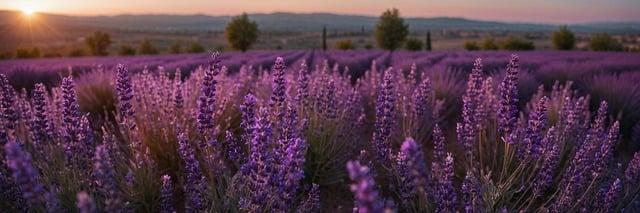 참가자미 제철 효능