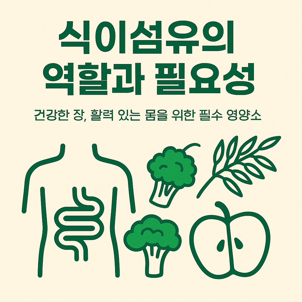 식이섬유의 역할과 필요성