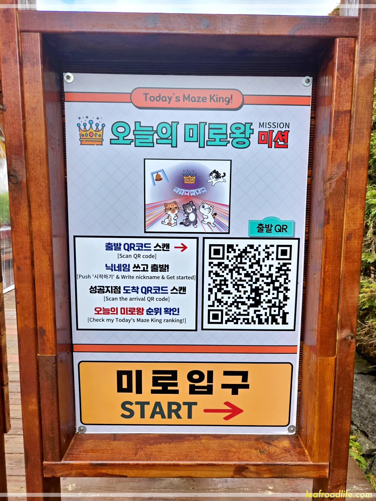 제주-김녕-미로-공원-오늘의-미로왕-간판
