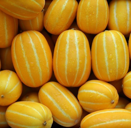 참외 효능 부작용