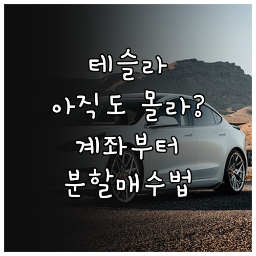 테슬라 주식 사는법 계좌 개설 환전법..