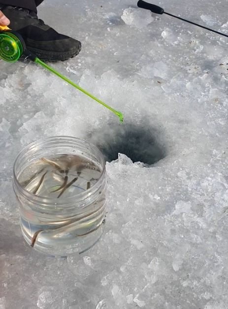 전국 빙어 축제 티켓 예약 및 무료 주차장 가이드