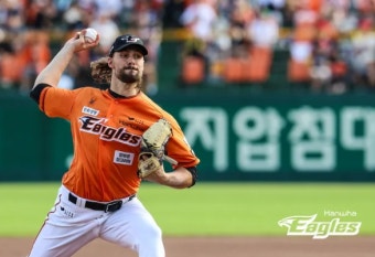 한화이글스 우승