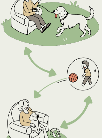 강아지 나이 계산법 완벽 정리 7