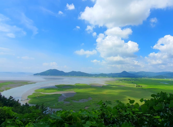 네이버 여행: 쉽고 똑똑하게 여행