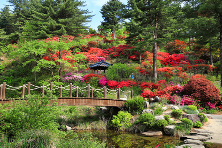 아침고요 수목원