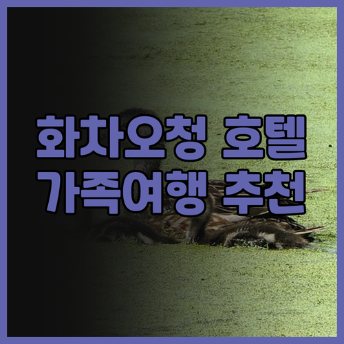 선전 호텔 추천 선전 화차오청 인터컨..