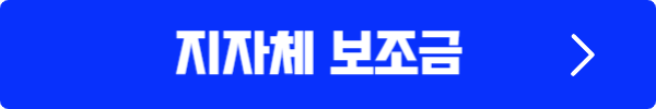 토레스EVX가격