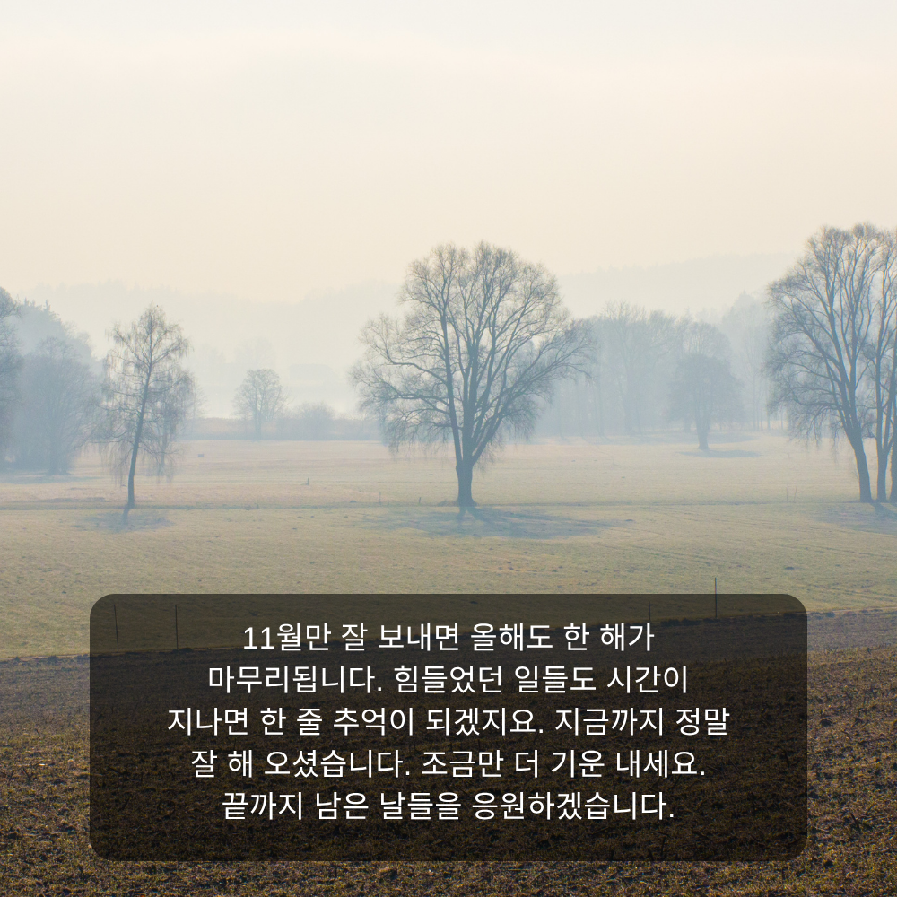 11월 인사말 27 올해 마무리 앞둔 11월 응원 인사말 이미지