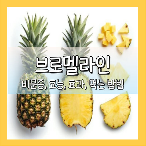 브로멜라인 비문증 효능, 효과, 먹는 방법
