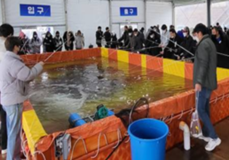 홍천강 꽁꽁축제