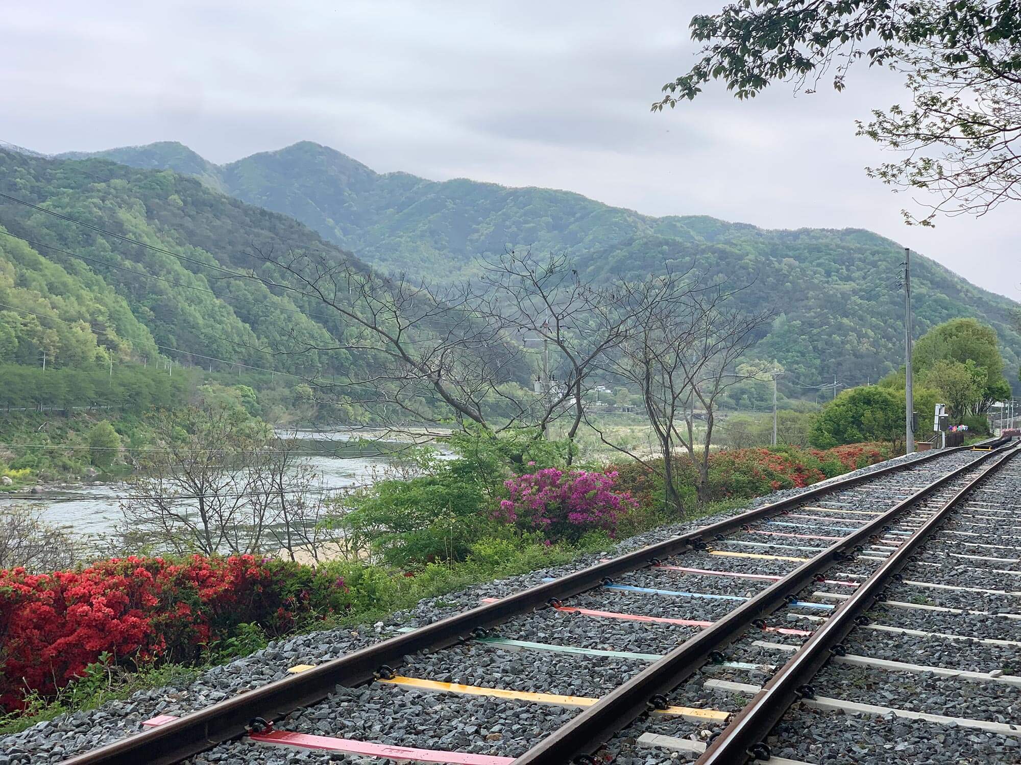 섬진강과 기차마을