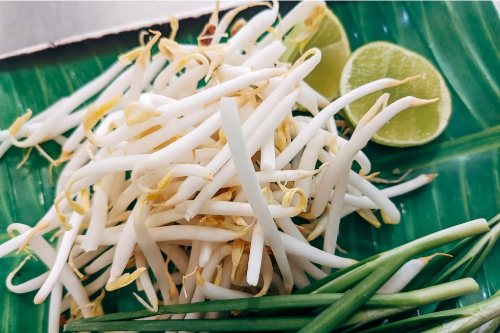 콩나물 효능 칼로리 부작용 총정리