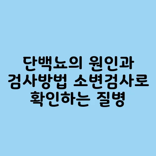 단백뇨의 원인과 검사방법 소변검사로 확인하는 질병