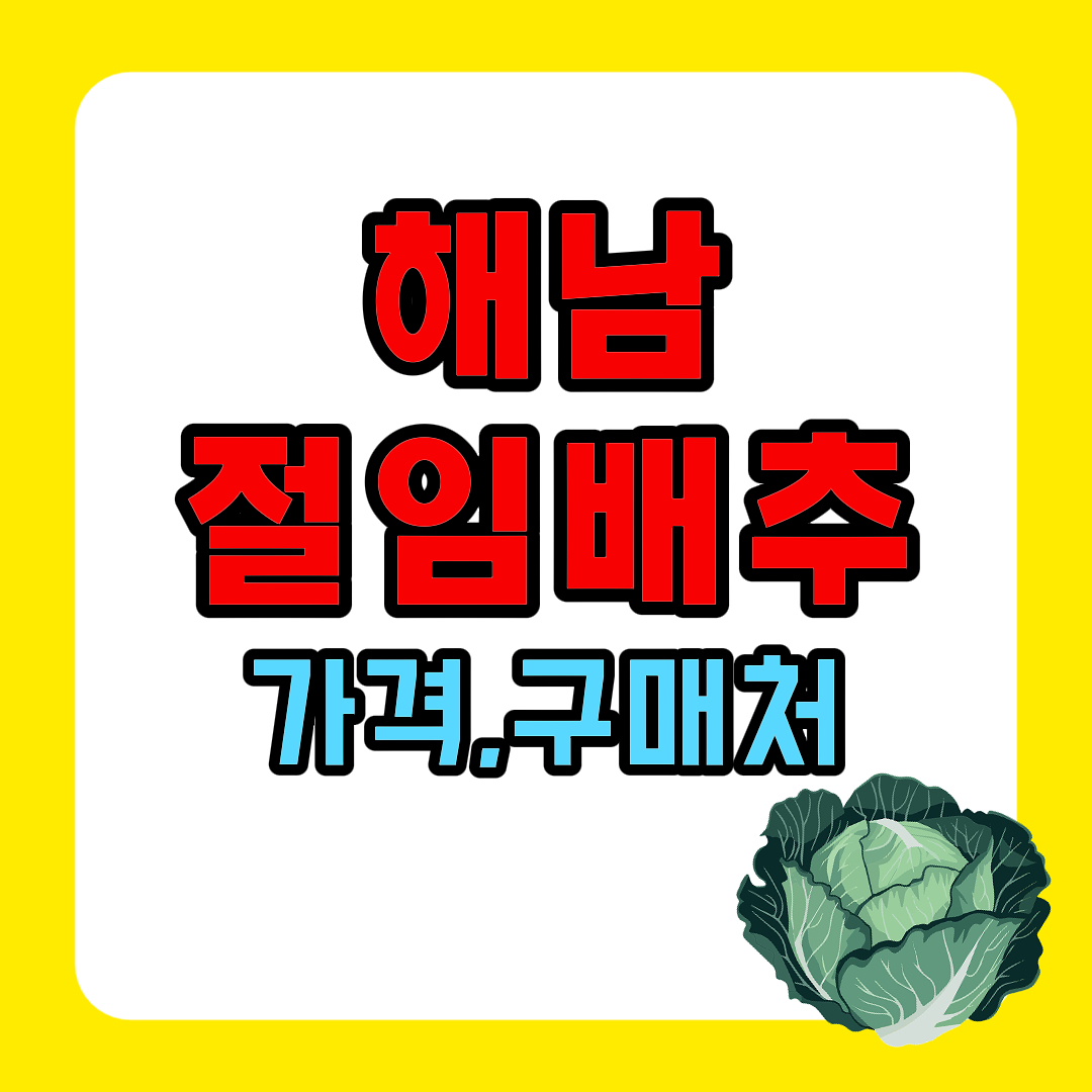 해남 절임배추 가격 최저가 직거래 김장김치 20키로 양념